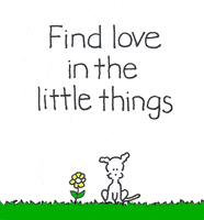 Flower Love GIF by Chippy the Dog