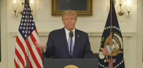 Shut It Down Donald Trump GIF