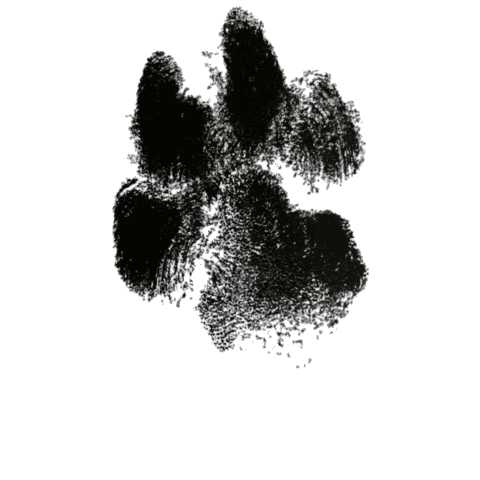 Petal Paw Print Sticker by Pup and Running