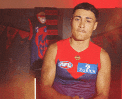 Melbourne Demons Andy GIF by Melbournefc