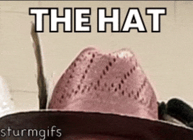 Minnesota Wild Hockey GIF