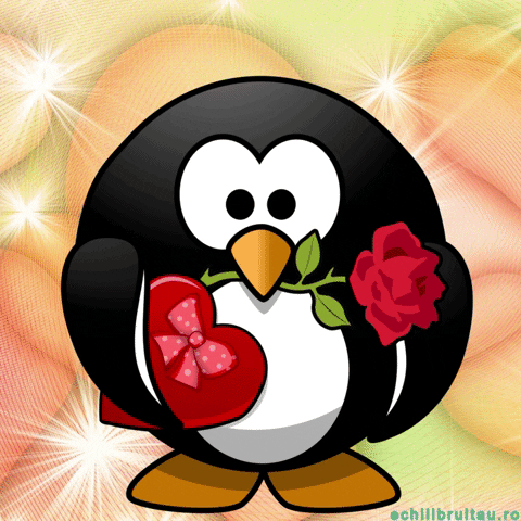 Love Gifs Collection By Echilibrultau Giphy Love Gifs Collection By Echilibrultau Giphy
