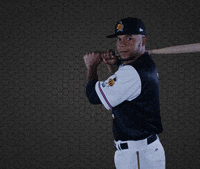 Salt Lake Bees GIF - Find & Share on GIPHY