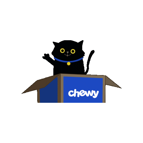 Blackcats Sticker by Chewy