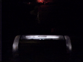 Alan Vega GIF