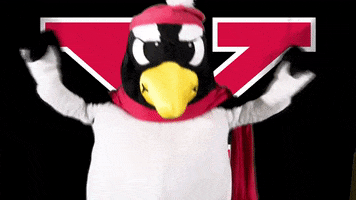 horizonleague youngstown state youngstown state mascot 1 GIF