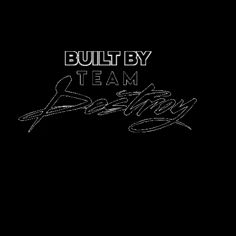 Team Destroy GIF