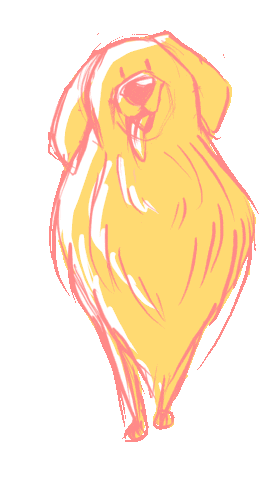 Animation Sticker