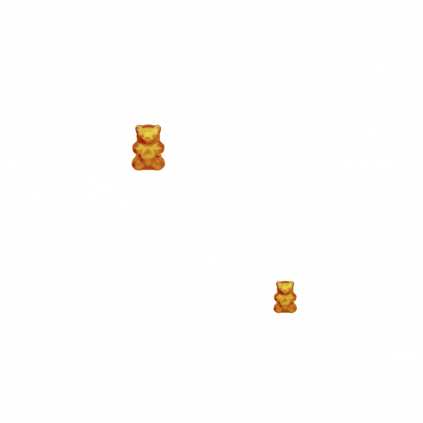 Vita Bear GIF