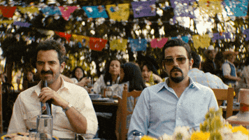 Pablo Escobar Mexico GIF by NETFLIX