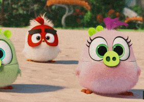 Hatchlings Piglets GIF by Angry Birds
