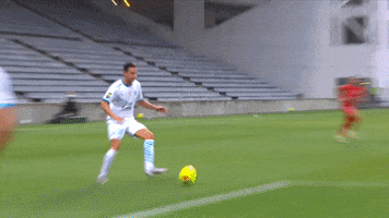 200.gif?cid=fc005b08b127975c20b83d7029c8e4d9ae3c9896324fd41b&rid=200.gif&ct=g