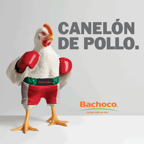 BachocoMX mexico chicken boxing box GIF