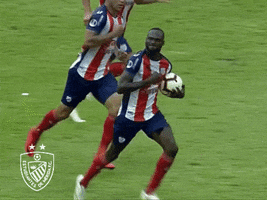 Gol GIF