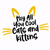 Binging Big Cat Rescue GIF by SportsManias