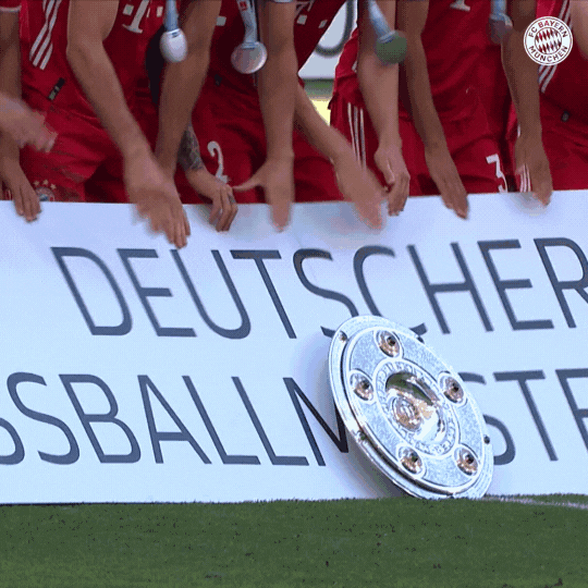 Football Celebration GIF by FC Bayern Munich Find & Share on GIPHY
