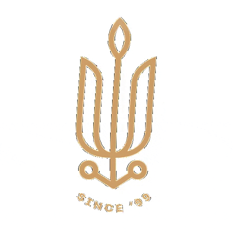 luxonwheelsportugal GIF