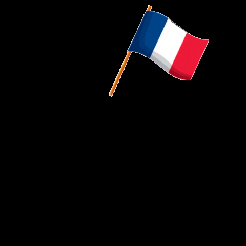 France Alliancefrancaise GIF by afhongkong