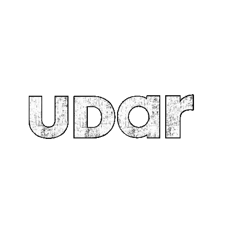 UDAR Kickboxing Sticker