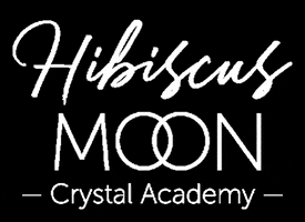 Graduate Crystals GIF by Hibiscus Moon