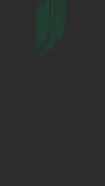 Canal Portugal GIF