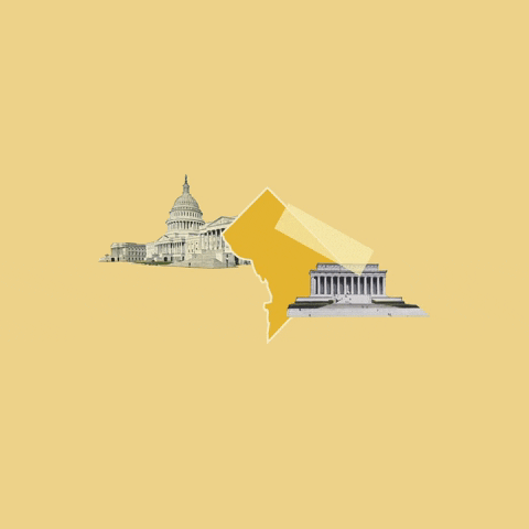 Washington Dc GIF by Crooked Media