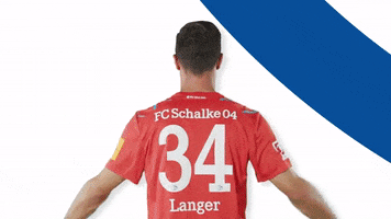 German Soccer Schalke 04 2019 20 GIF by FC Schalke 04