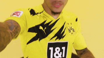 Happy Borussia Dortmund GIF by Bundesliga