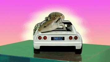 Sunset GIF