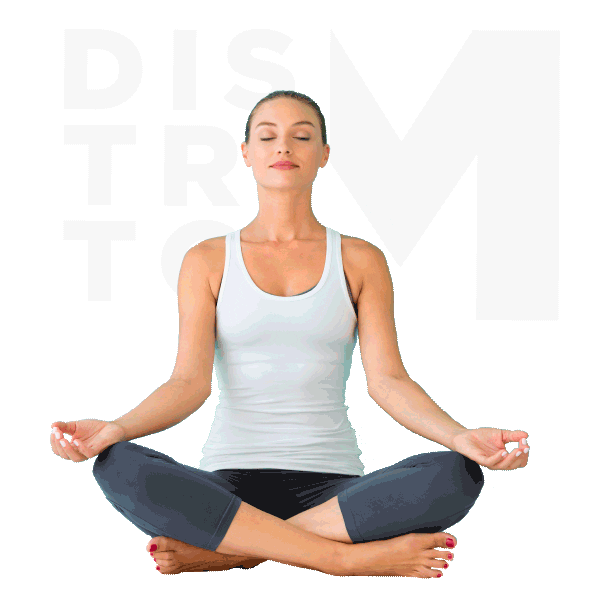 Sticker by SILVESTRE