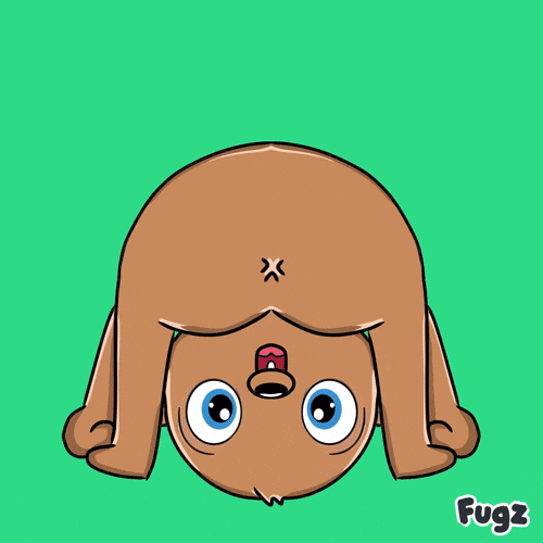 Good Morning GIF