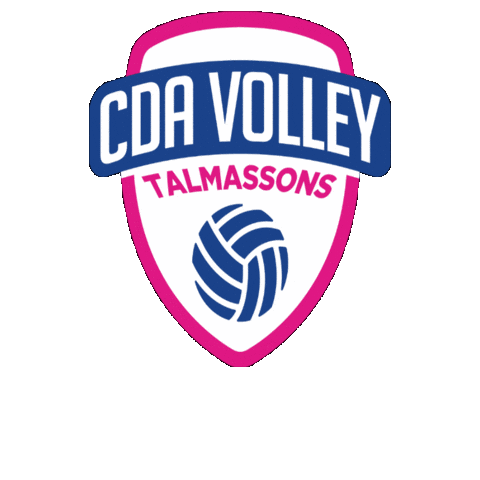 CDA Volley Talmassons FVG Sticker