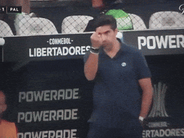 Libertadores Abel GIF