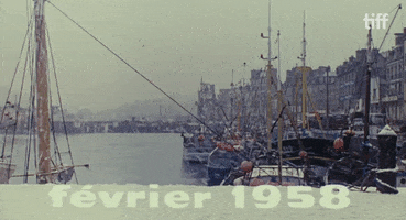 Les Parapluies De Cherbourg February GIF by TIFF