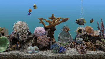best aquarium screensaver roku