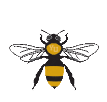 Bumblebee Beesyu Sticker by York University