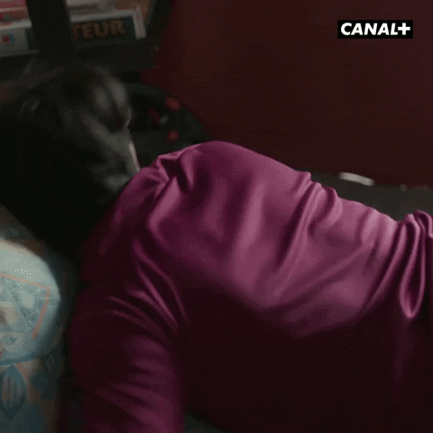 Canal Plus Lol GIF by CANAL+
