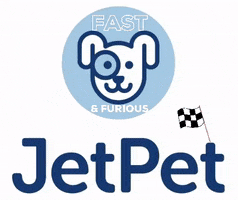 Jetpetresort GIF