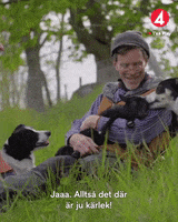 Happiness Love GIF by TV4