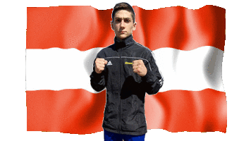Austrianboxing Sticker by Bounce