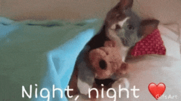 Night Night GIF by memecandy