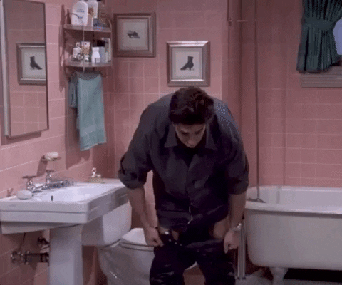 Season 5 Bathroom GIF by Friends - Find & Share on GIPHY