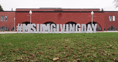 giving day dragons GIF by Minnesota State University Moorhead