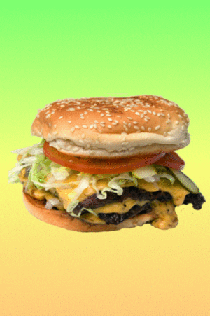 cheeseburger GIF by Shaking Food GIFs