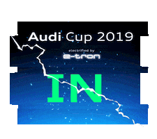 Summer Goal Sticker by Audi Football