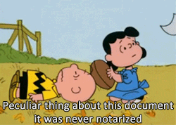charlie brown lucy GIF by Maudit