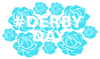 Horse Racing Sticker by Flemington VRC