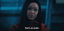 Season 4 Discovery GIF by Paramount+