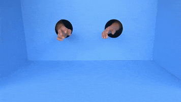 Lindyhengst GIF