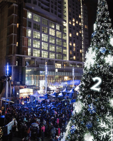 Surreybc Surreytree GIF by Surrey Special Events